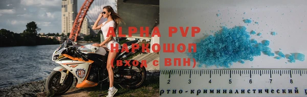 гашик Горняк