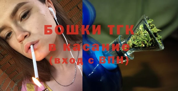 гашик Горняк