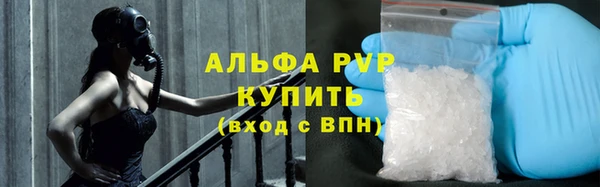гашик Горняк