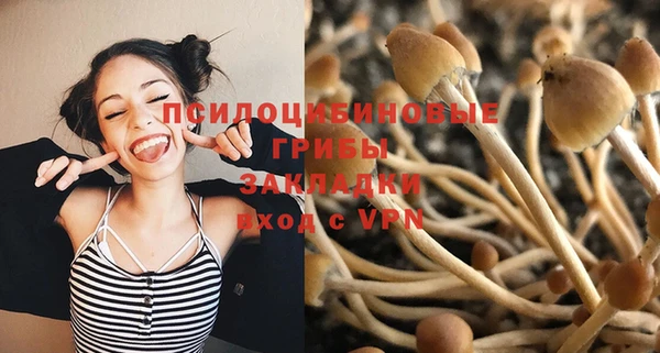 гашик Горняк
