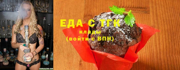 гашик Горняк