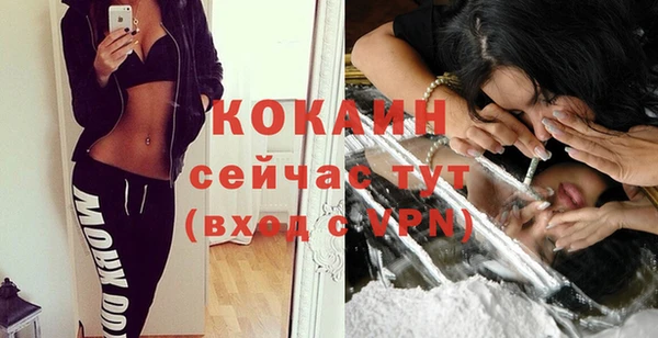 гашик Горняк