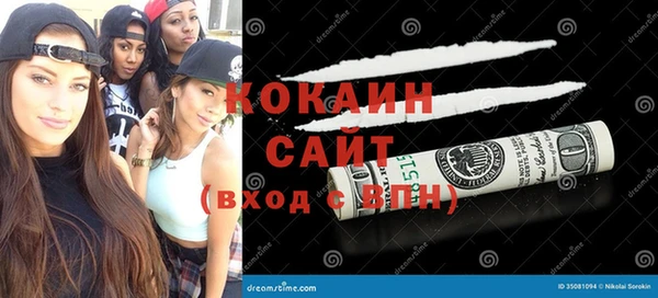 гашик Горняк