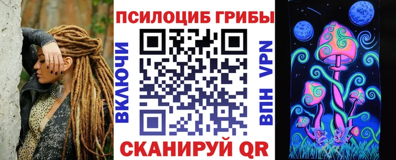 Псилоцибиновые грибы Cubensis  Купить где  Красный Кут 